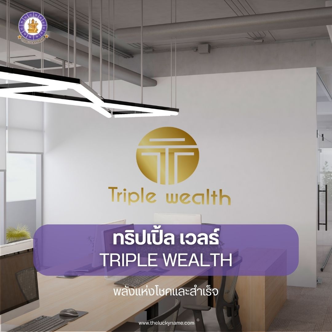 ตั้งชื่อบริษัทบัญชี TRIPLE WEALTH