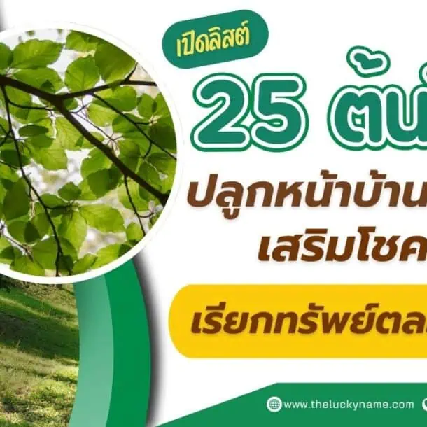 เปิดลิสต์ 25 ต้นไม้มงคลปลูกหน้าบ้าน เสริมโชคลาภ เรียกทรัพย์ตลอดปี