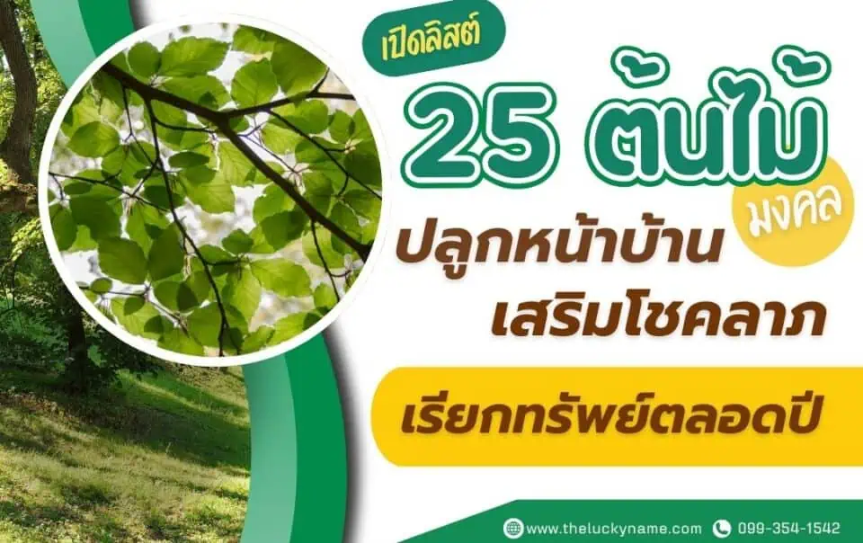 เปิดลิสต์ 25 ต้นไม้มงคลปลูกหน้าบ้าน เสริมโชคลาภ เรียกทรัพย์ตลอดปี