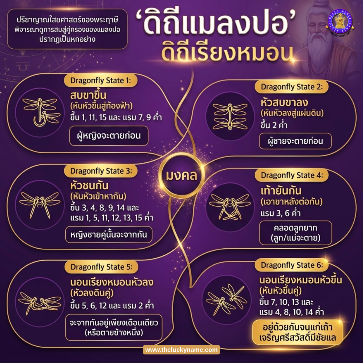 ดิถีแมลงปอ